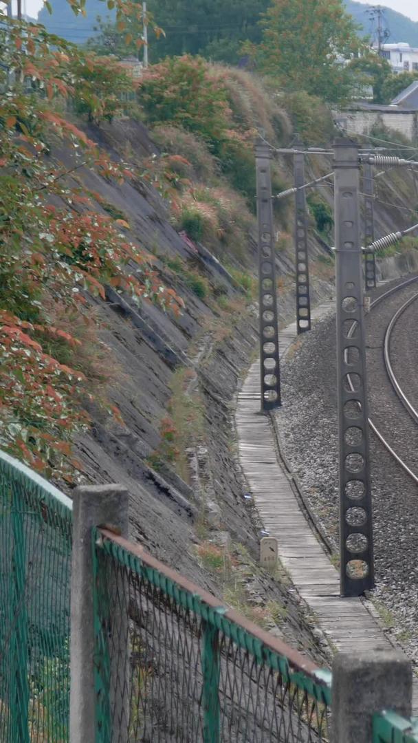 拍摄铁路运输火车运煤视频的预览图