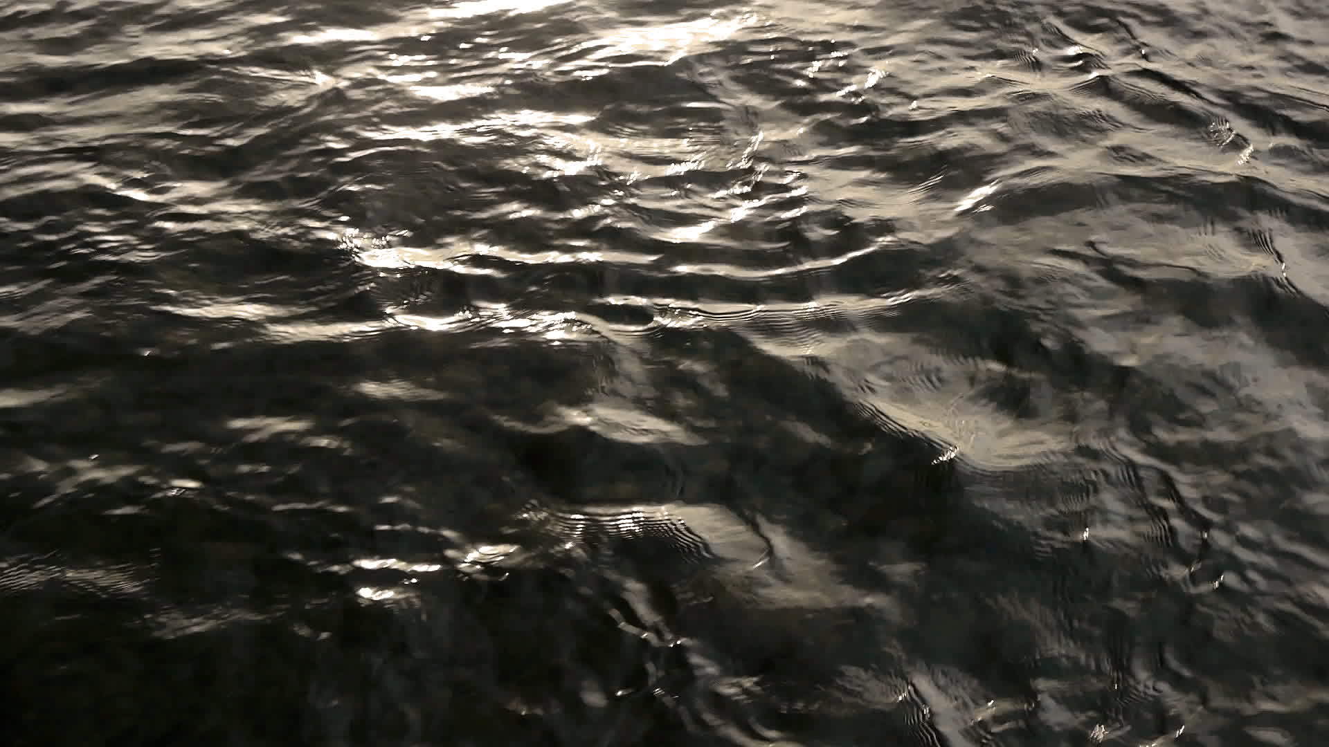 黑水在冰河中视频的预览图