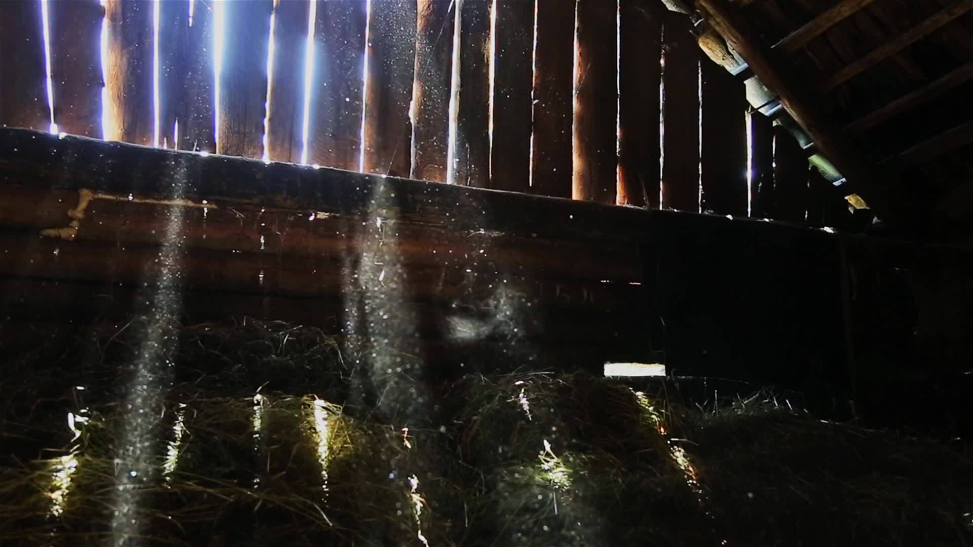 光线穿透旧谷仓的板块视频的预览图