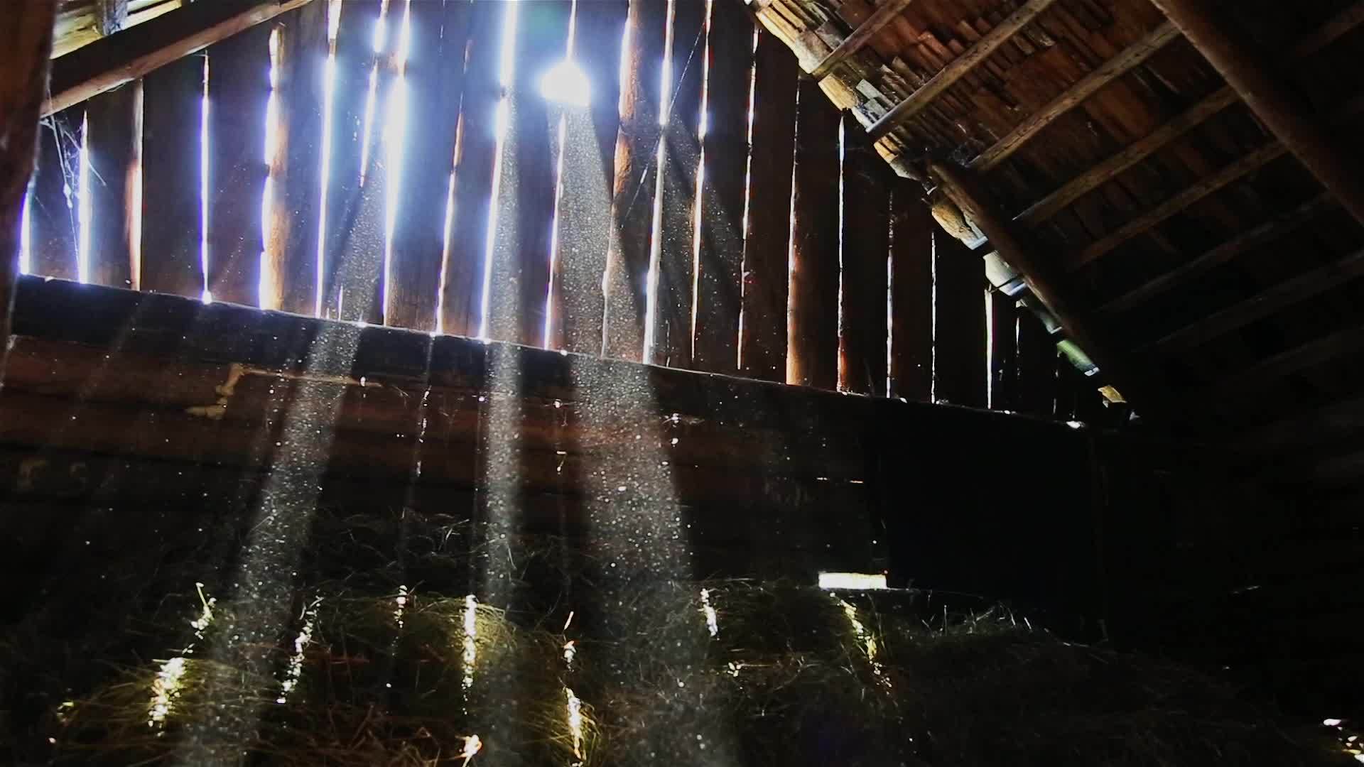 在旧谷仓阁楼的阳光下灰尘慢慢地移动在旧谷仓阁楼上视频的预览图