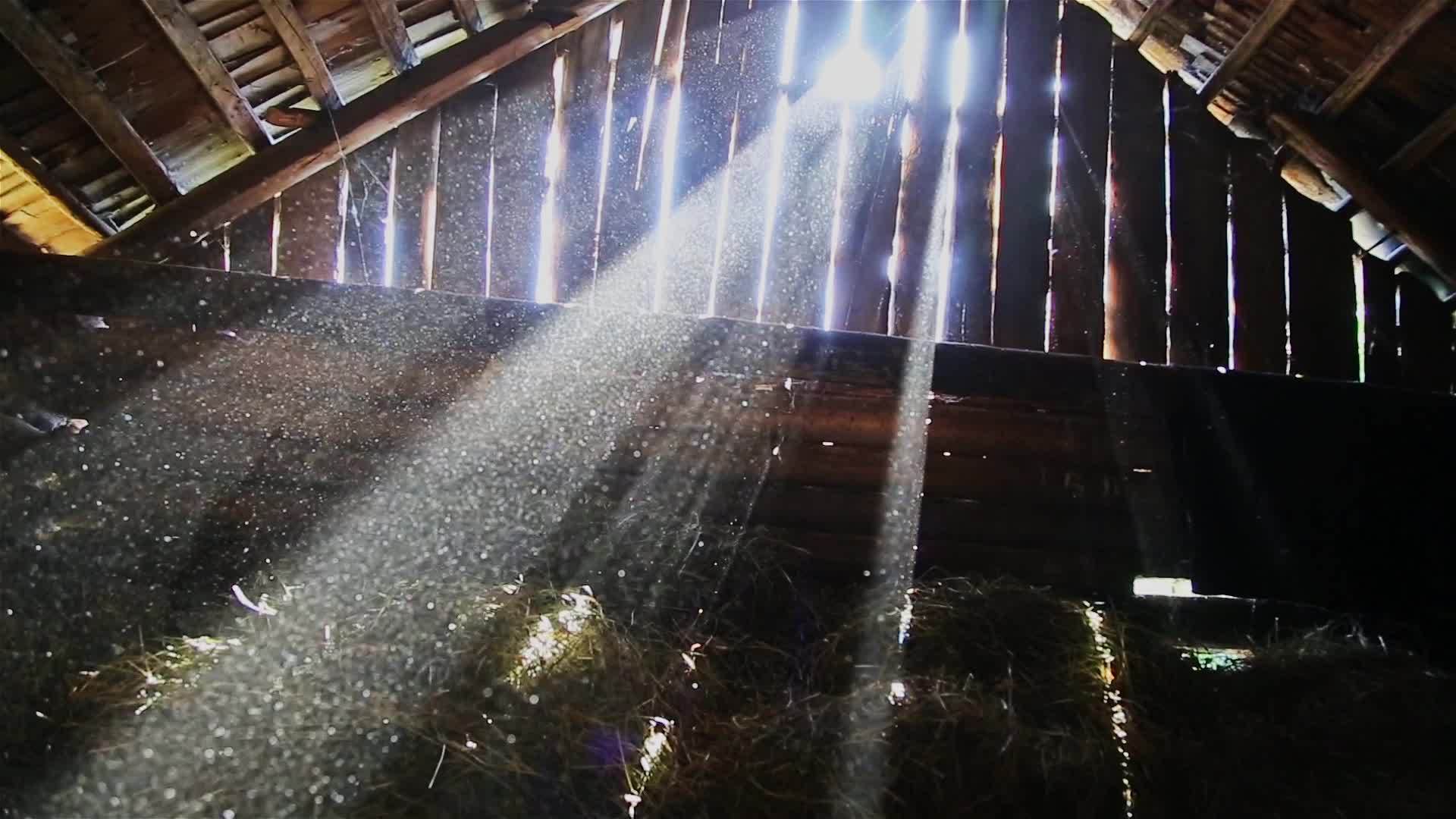 阳光穿透旧谷仓板的缝隙视频的预览图