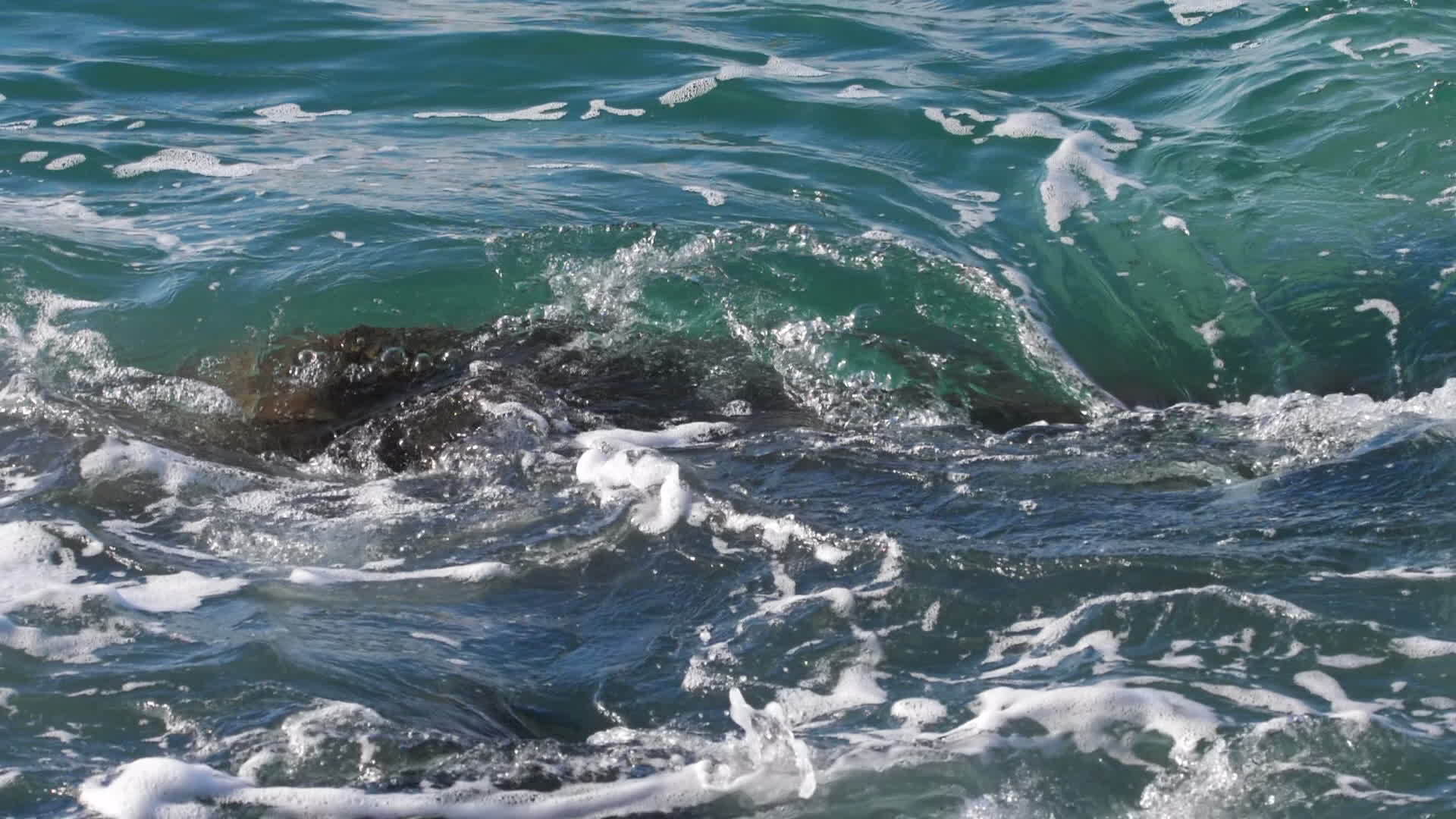 海浪在岩石上滚滚视频的预览图