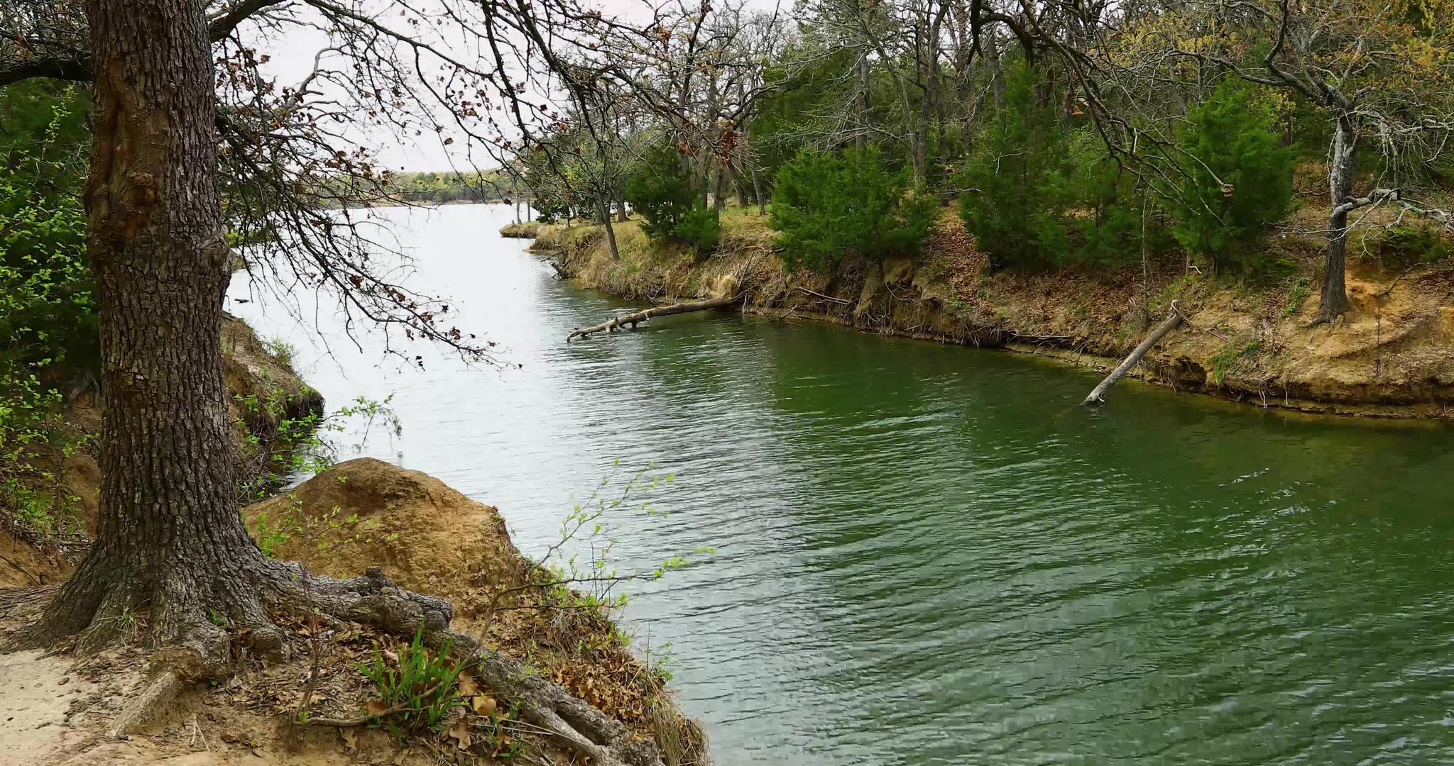 在德克萨斯lbj黑溪湖在草原上视频的预览图
