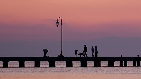 日落时家人在码头走狗视频的预览图