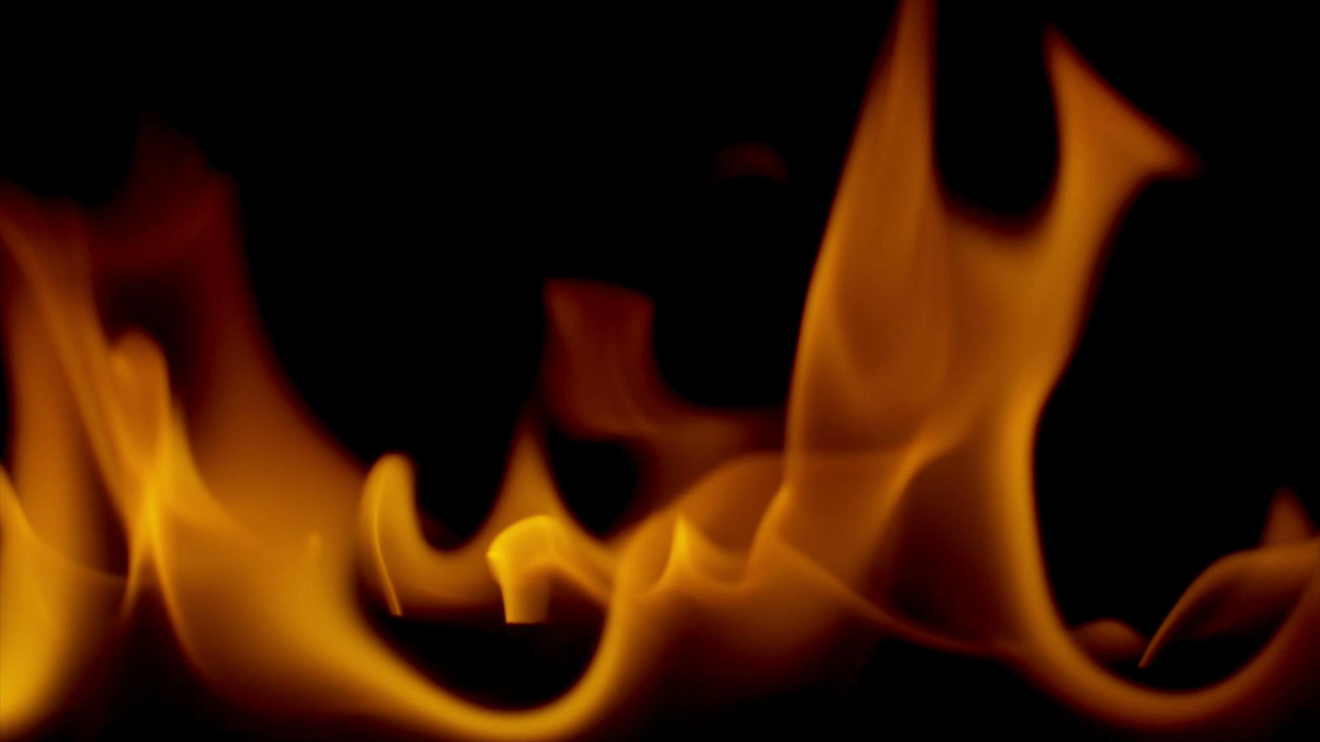在黑底4k点燃橙色火焰视频的预览图