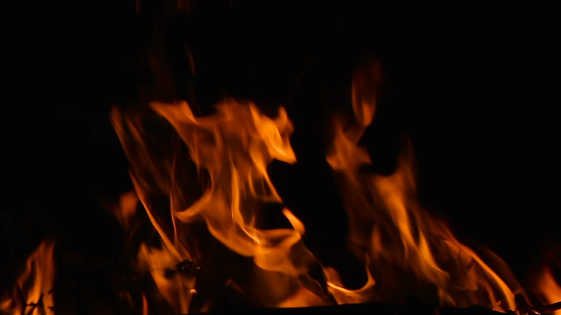 夜间燃烧木柴和树枝视频的预览图