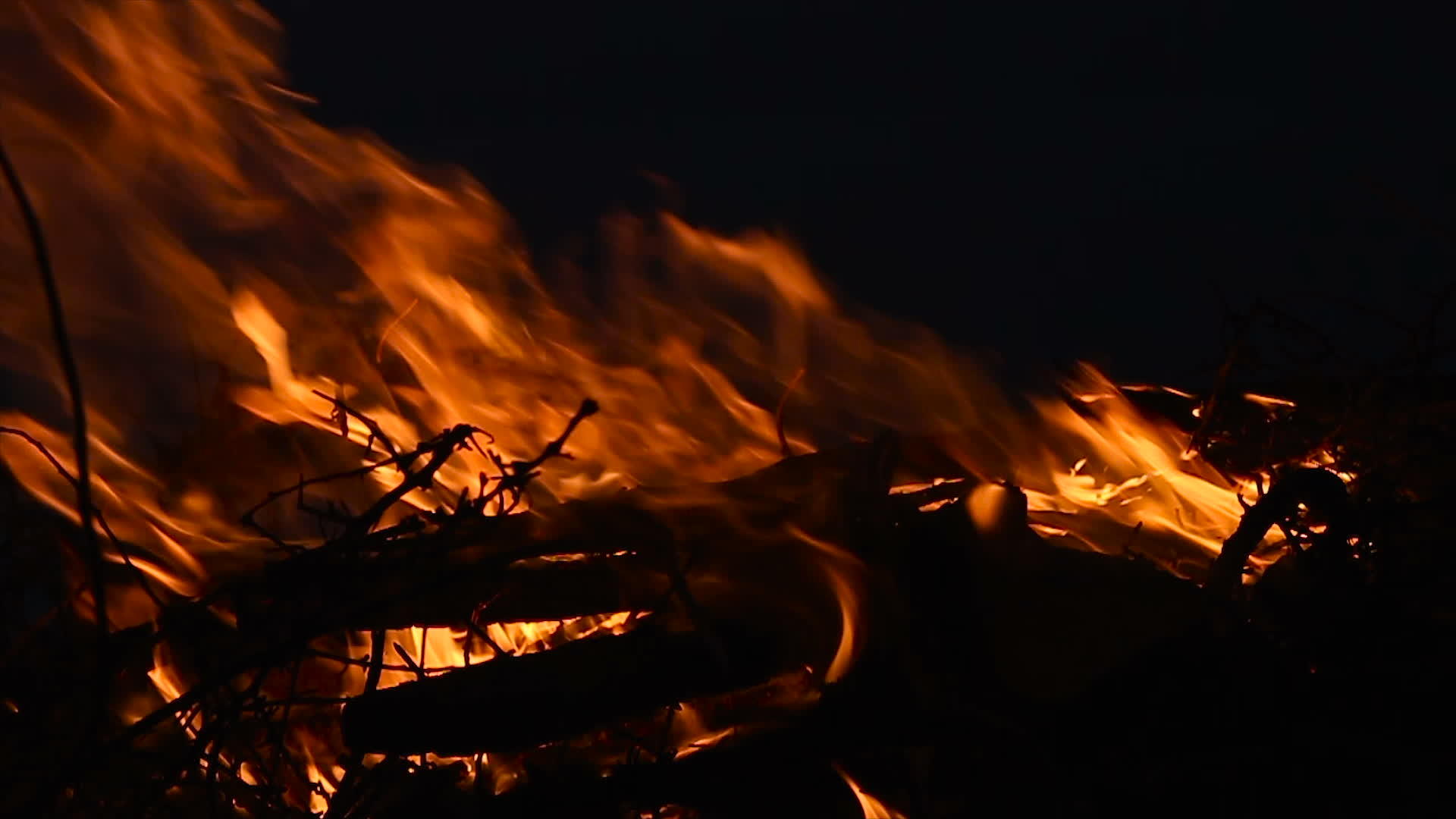 夜间燃烧木柴和树枝视频的预览图