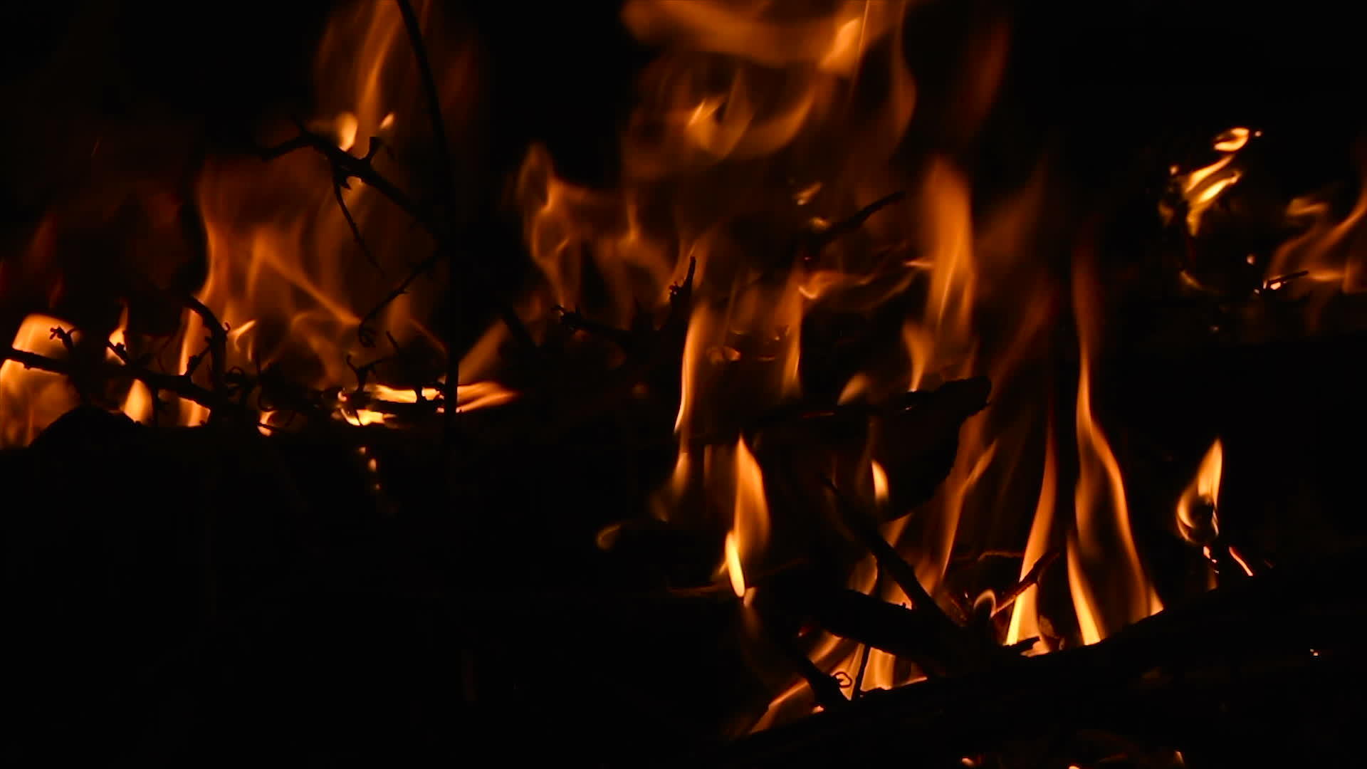 晚上用燃烧的木柴和树枝关闭营火慢慢移动视频的预览图