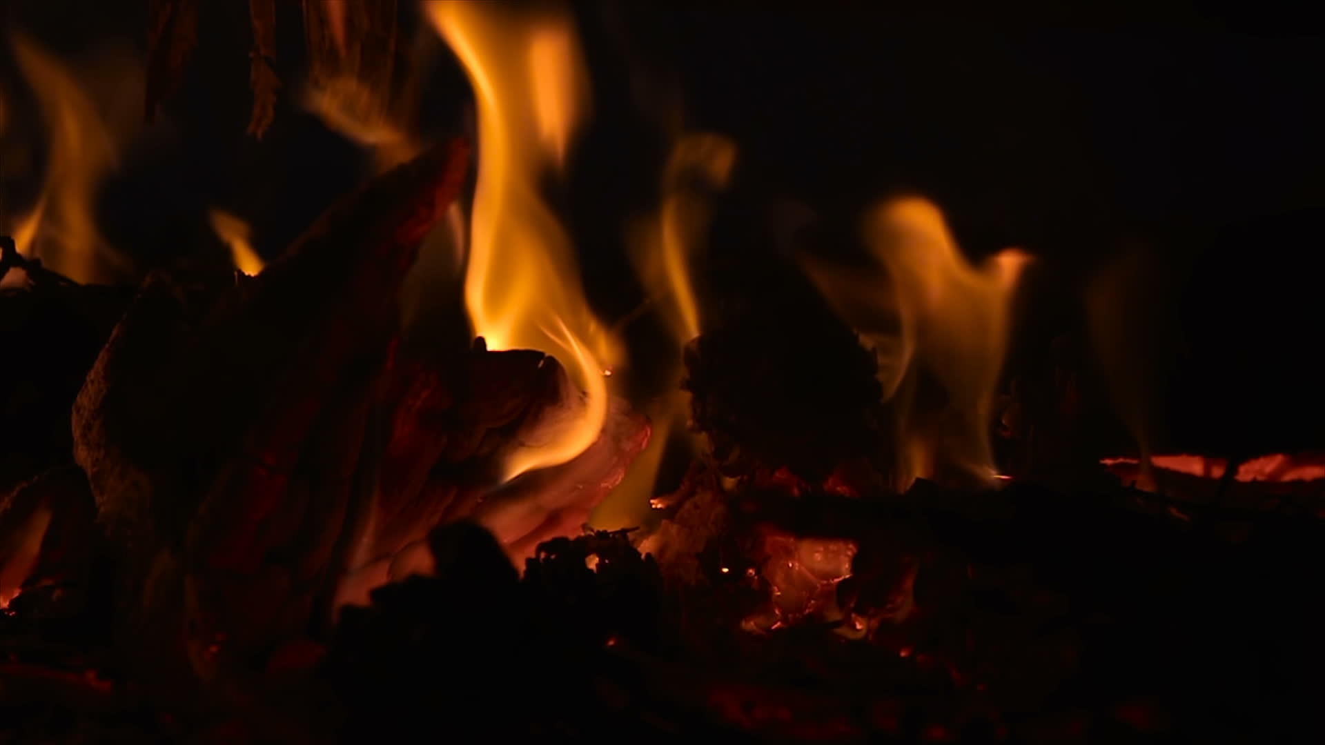 晚上用燃烧的木柴和树枝关闭营火慢慢移动视频的预览图