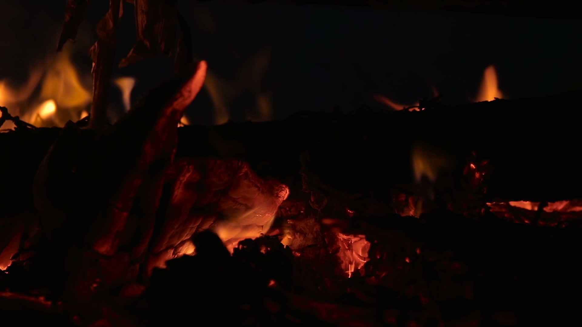 夜间用燃烧的木柴和树枝关闭营火视频的预览图
