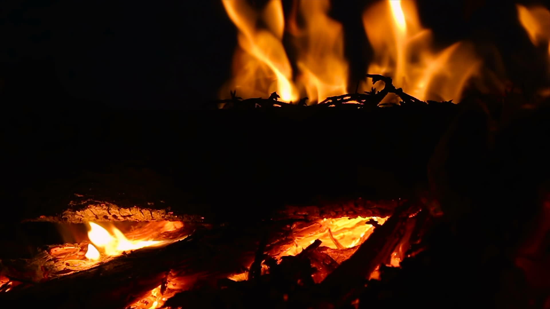 夜间燃烧的木柴和树枝视频的预览图
