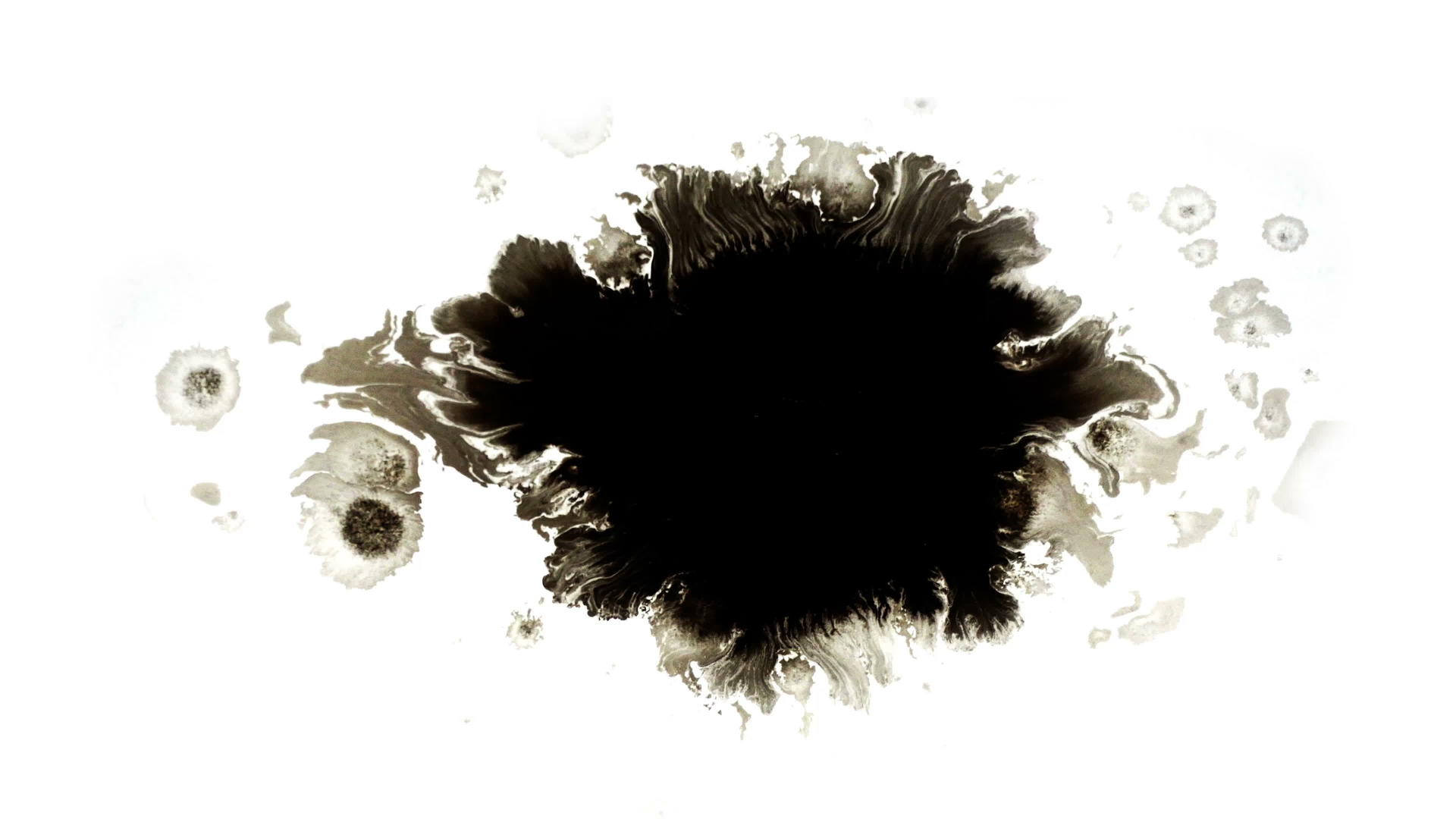一滴黑色水彩散布在白色液体中k的表面上视频的预览图