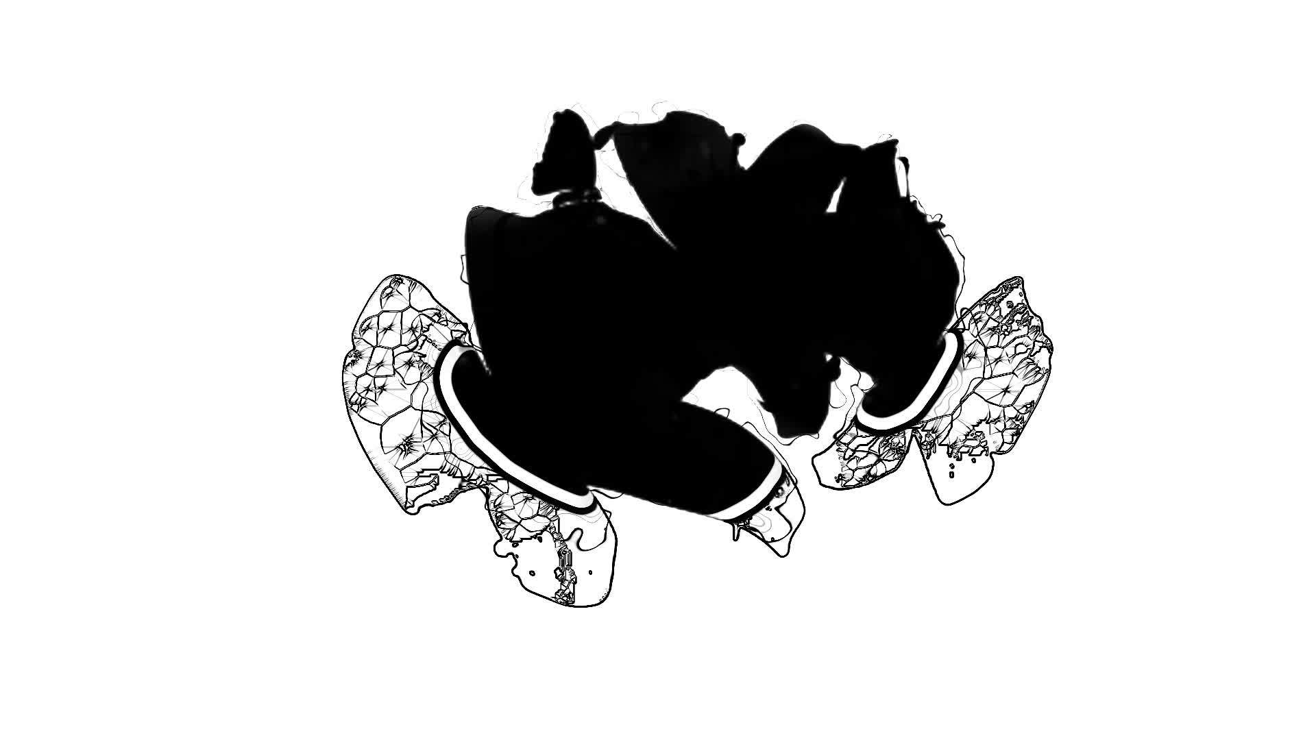 黑色线条花朵视频的预览图
