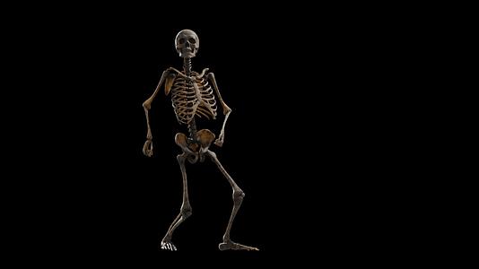 三维跳立体骨架的黑色背景视频的预览图