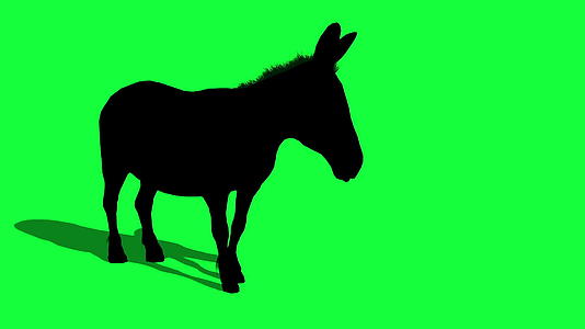 驴子3在绿色屏幕上D动画轮廓视频的预览图