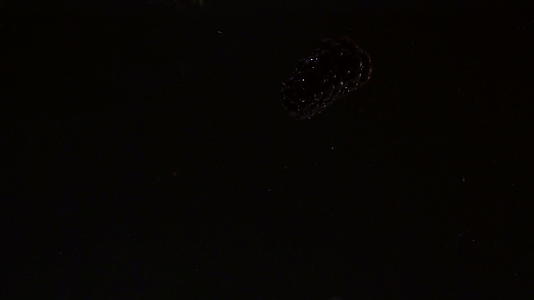 黑莓潜水在液体中视频的预览图