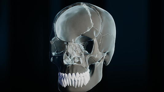 黑底黑底骨架上的坏牙视频的预览图
