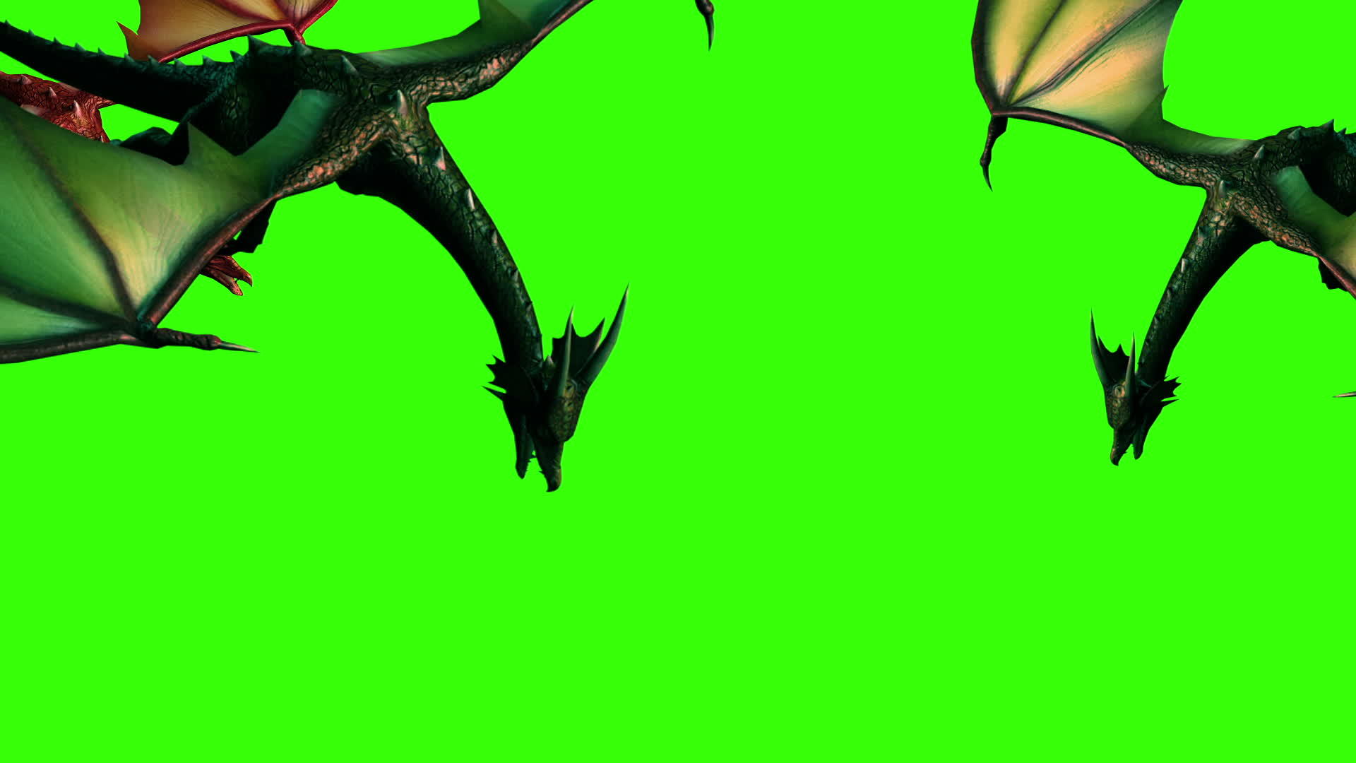 3d飞龙动画在绿屏上分离视频的预览图