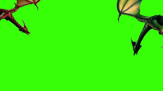 3d飞龙动画在绿屏上分离视频的预览图