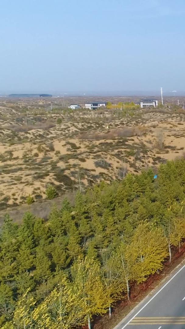 沙漠绿化道路航拍视频的预览图