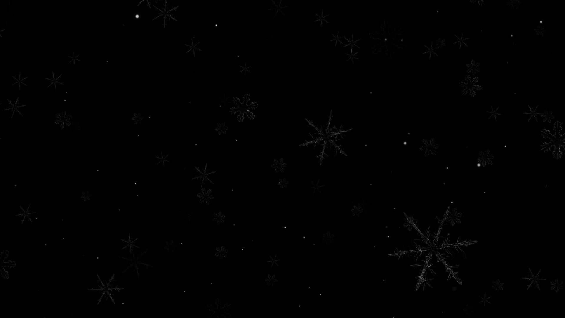 晶莹剔透雪花飞舞动态4K透明背景视频素材视频的预览图