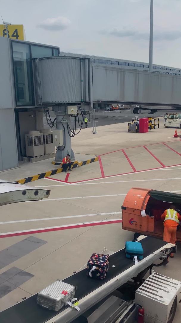 浦东机场停机坪行李装运实拍视频视频的预览图
