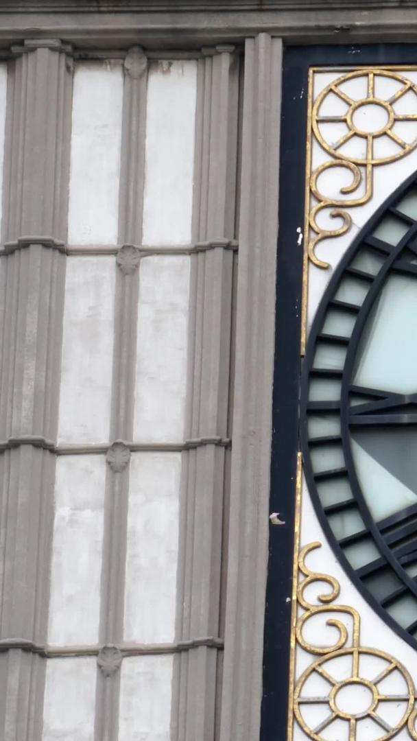 建筑物上的钟表旋转延迟摄影视频的预览图