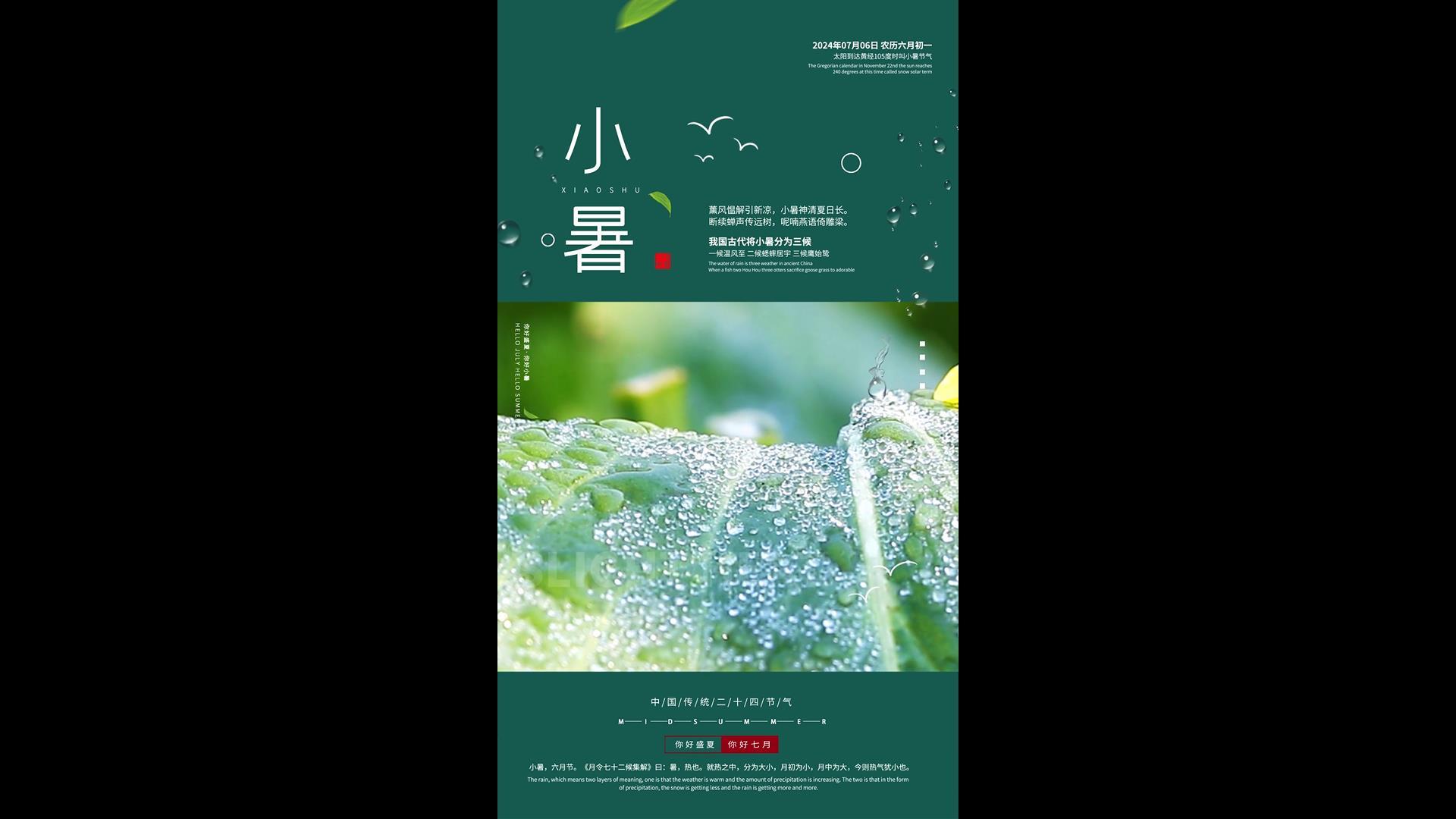 创意简约文艺荷叶小暑节气海报AE模板视频的预览图