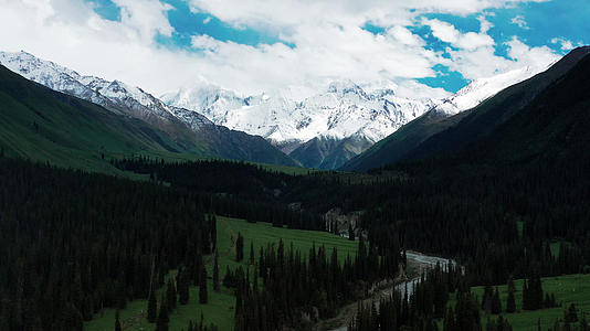 4K航拍新疆伊犁雪山草原森林自然风景视频的预览图