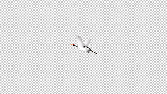 鹤飞翔抖动翅膀元素带透明度通道视频的预览图