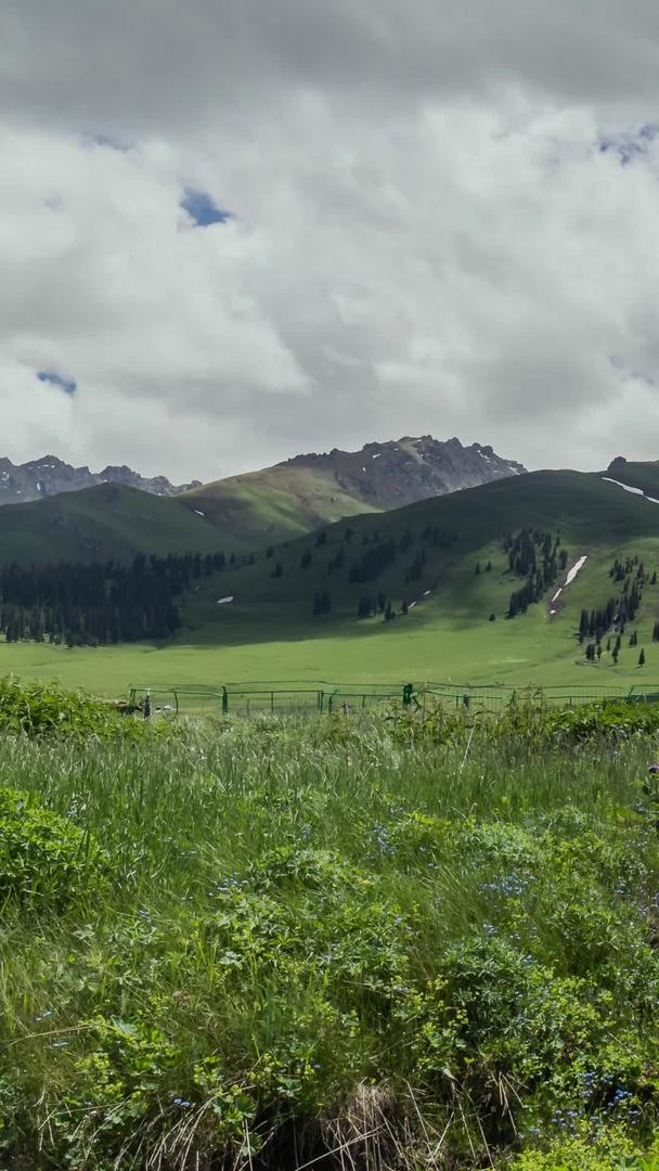 新疆伊犁那拉提景区蓝天白云下山河草原延迟摄影视频的预览图