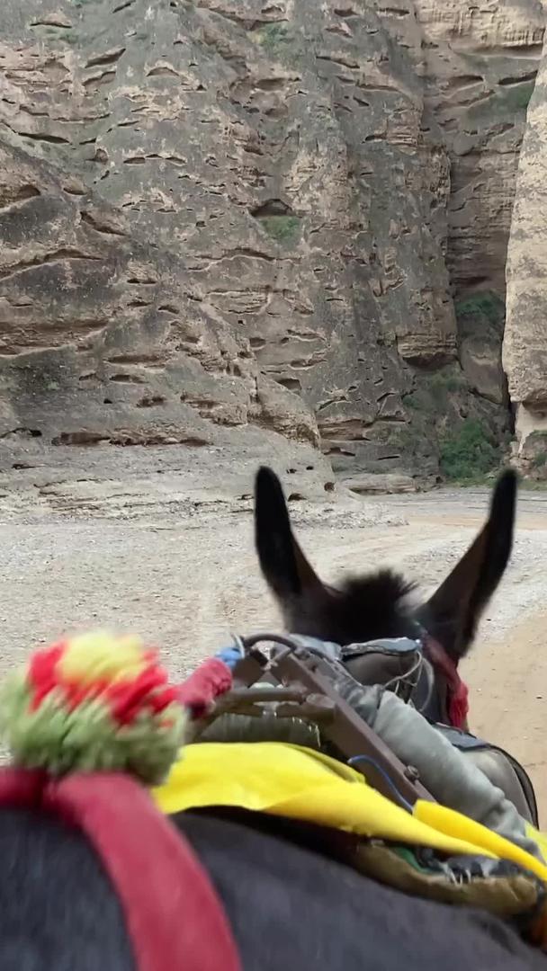 甘肃白银黄河石林景区驴车游玩视频的预览图