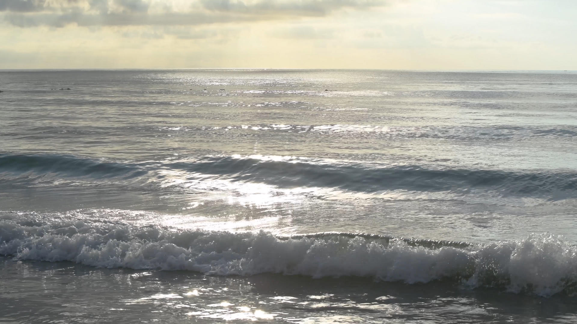 4K早晨的海浪视频的预览图
