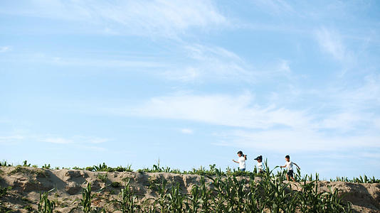 4k实拍蓝天白云小孩在田野奔跑升格视频视频的预览图