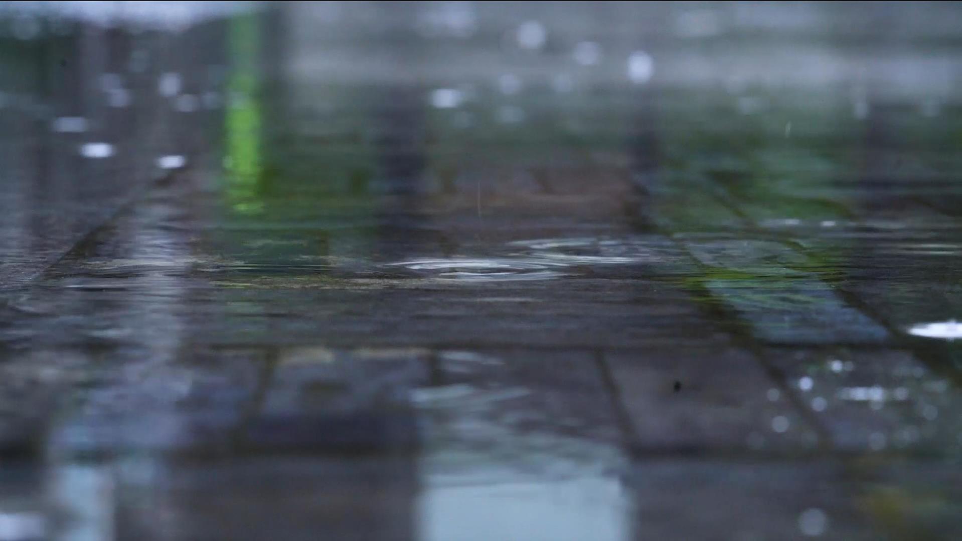 917个最佳下雨素材作品下载合集 潮点视频
