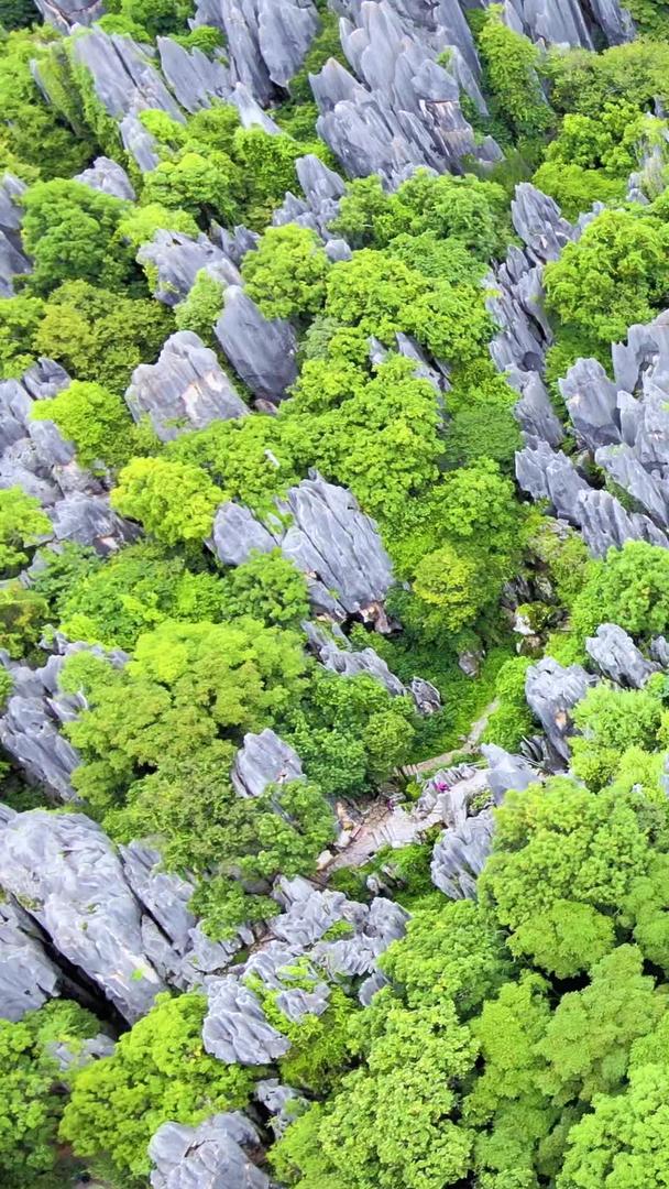 云南石林世界地质公园航拍视频的预览图