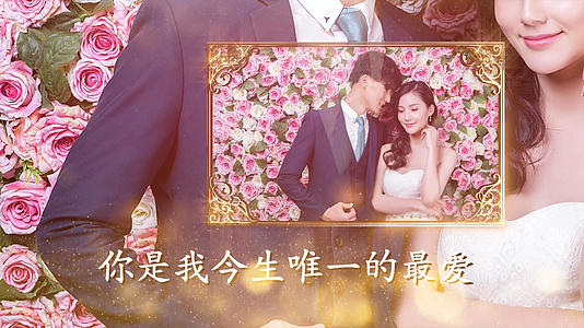 浪漫温馨婚礼pr模板视频的预览图