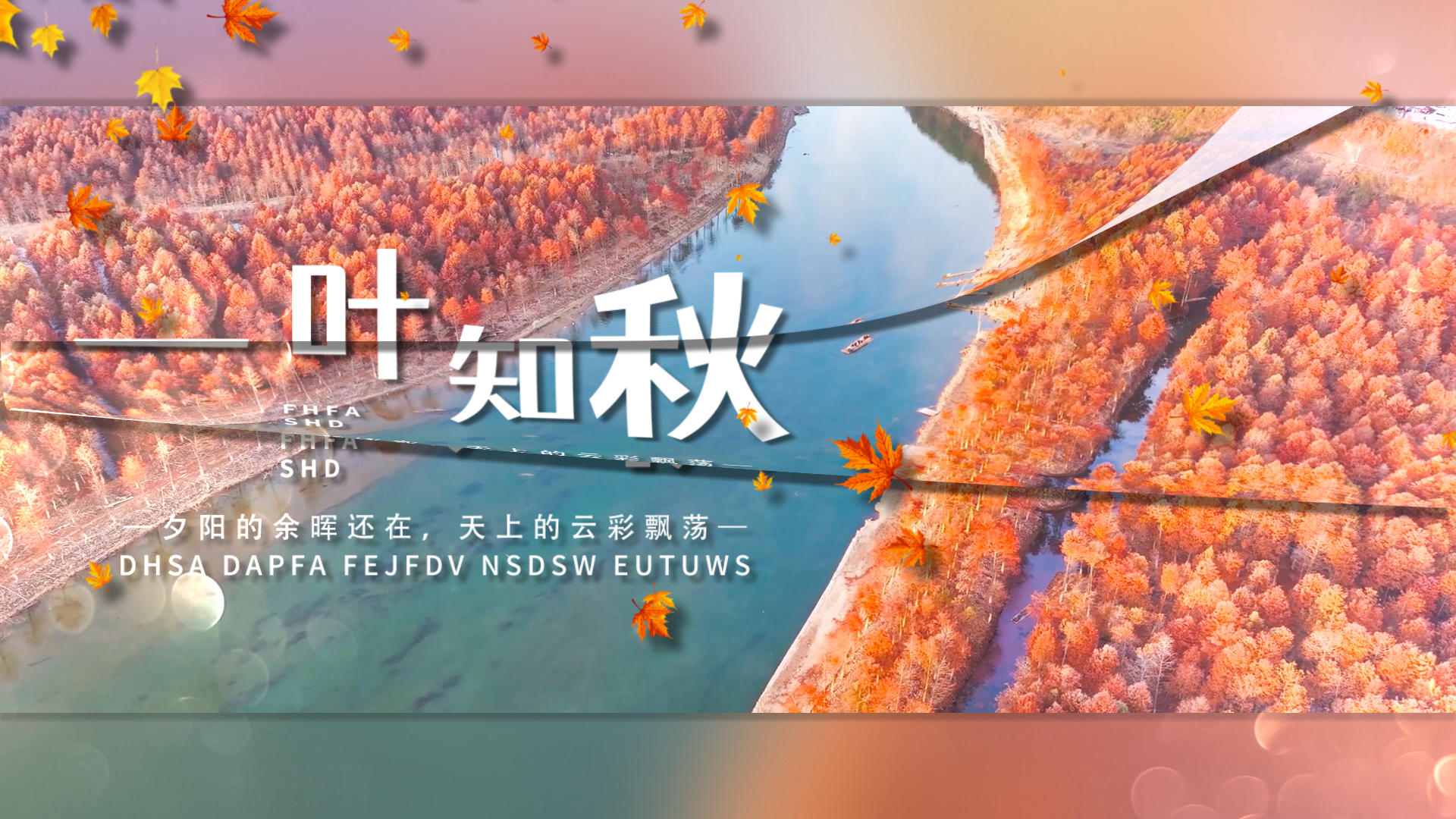 简洁美观的图片翻页秋分标题展示模板视频的预览图