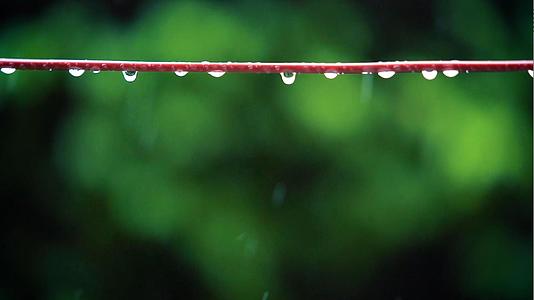 雨天电线杆上的水滴视频的预览图