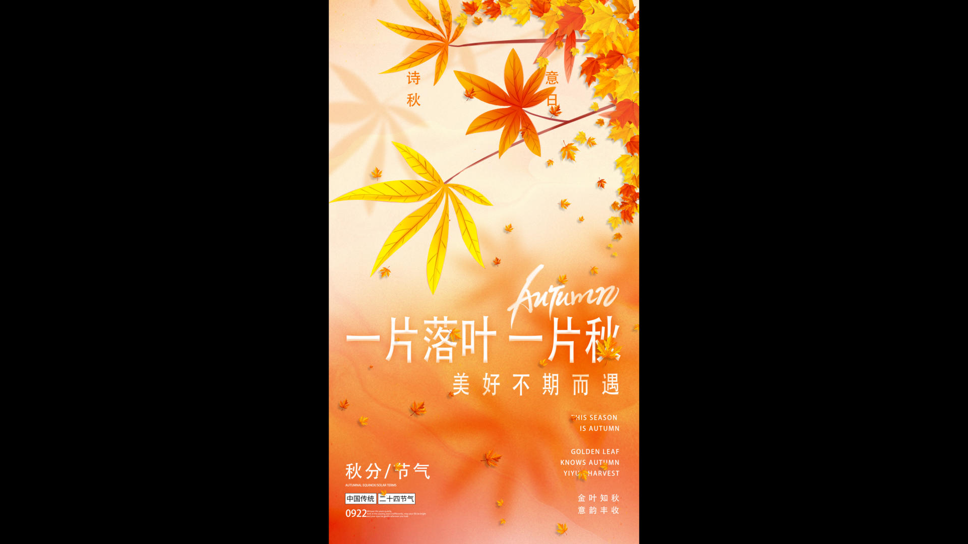 美丽意境二十四节气秋分海报展示视频的预览图