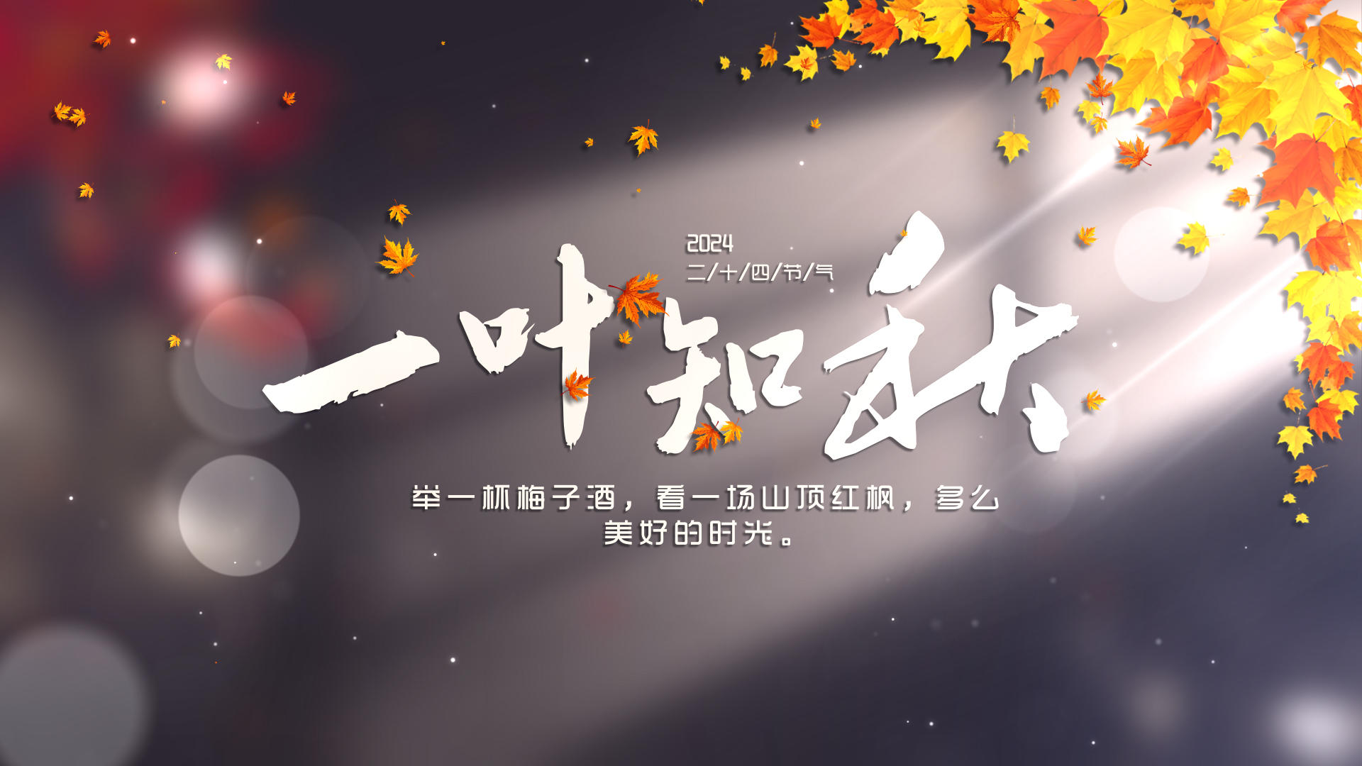 美丽的光影意境秋分字幕标题展示视频的预览图