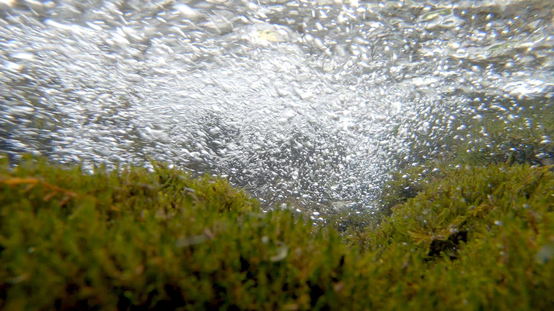4K水下摄影溪流青苔植物视频的预览图
