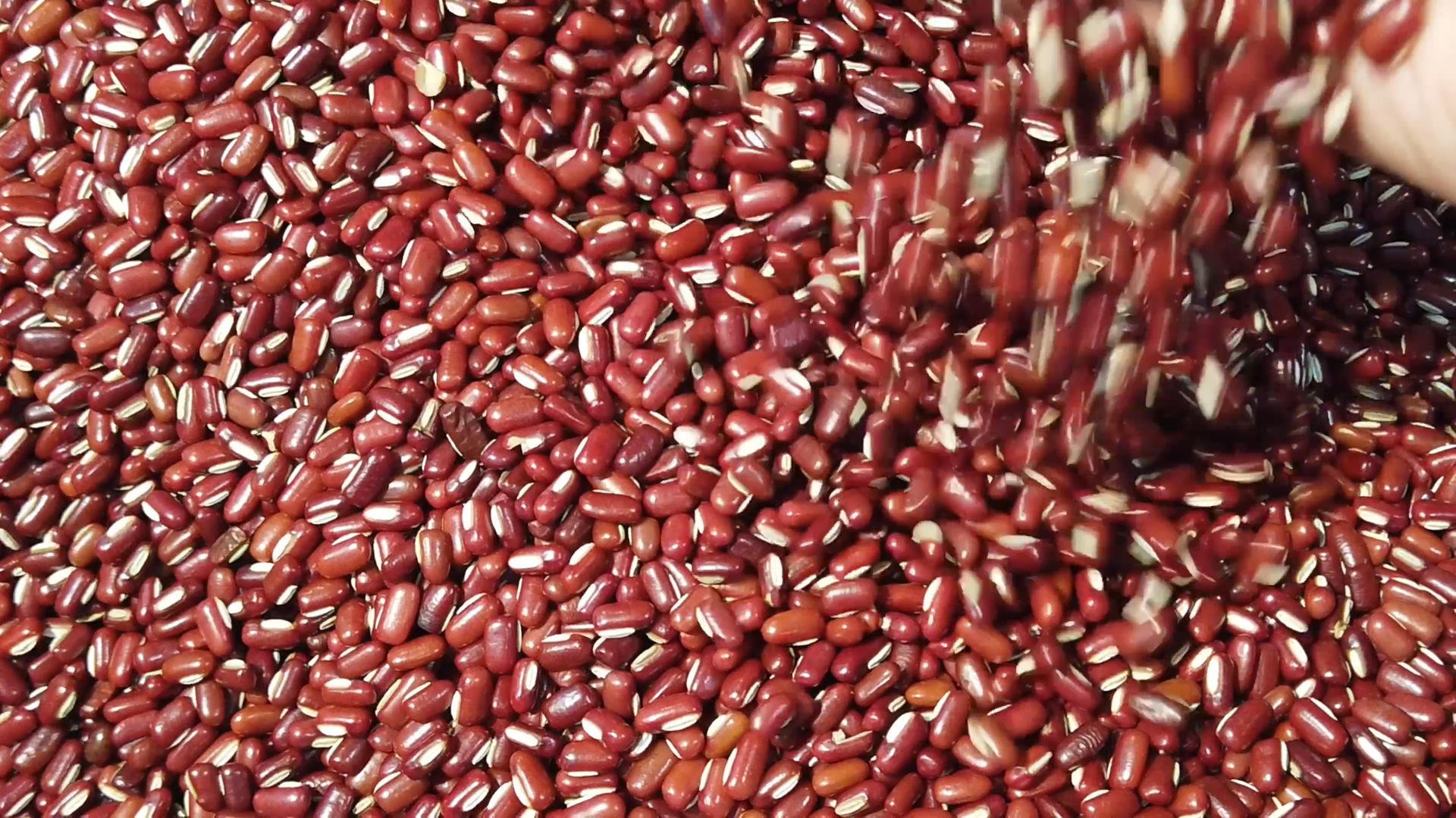 赤豆绿豆薏米糯米慢镜头视频的预览图