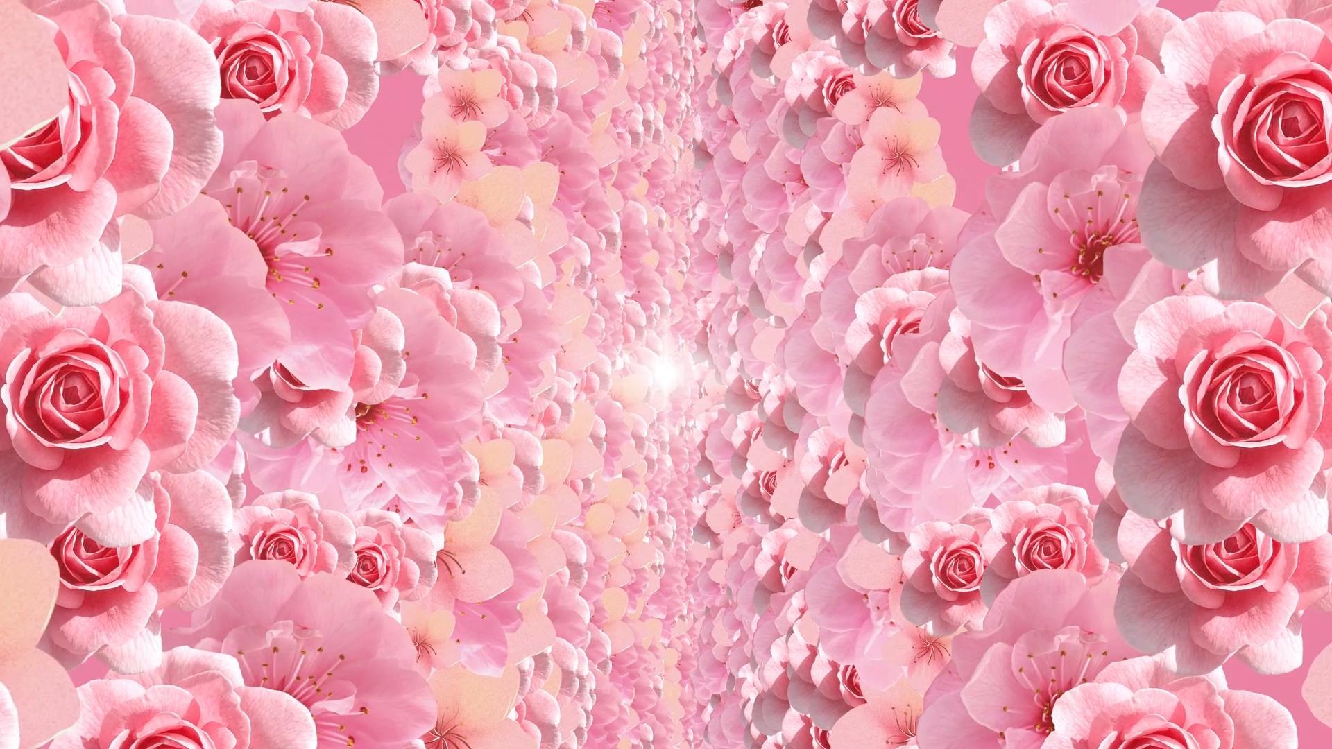 唯美动态粉色花海背景视频元素视频的预览图
