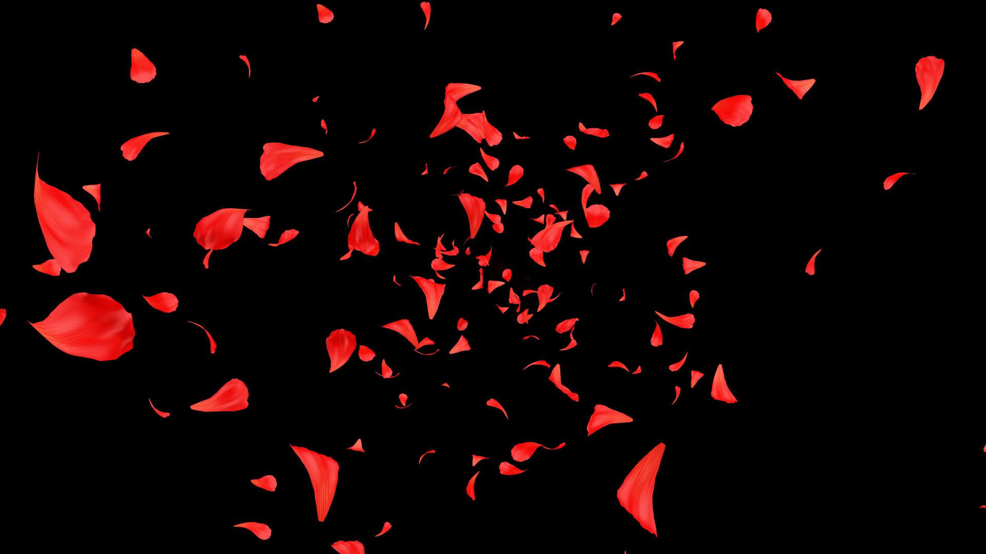 三维花瓣背景视频的预览图