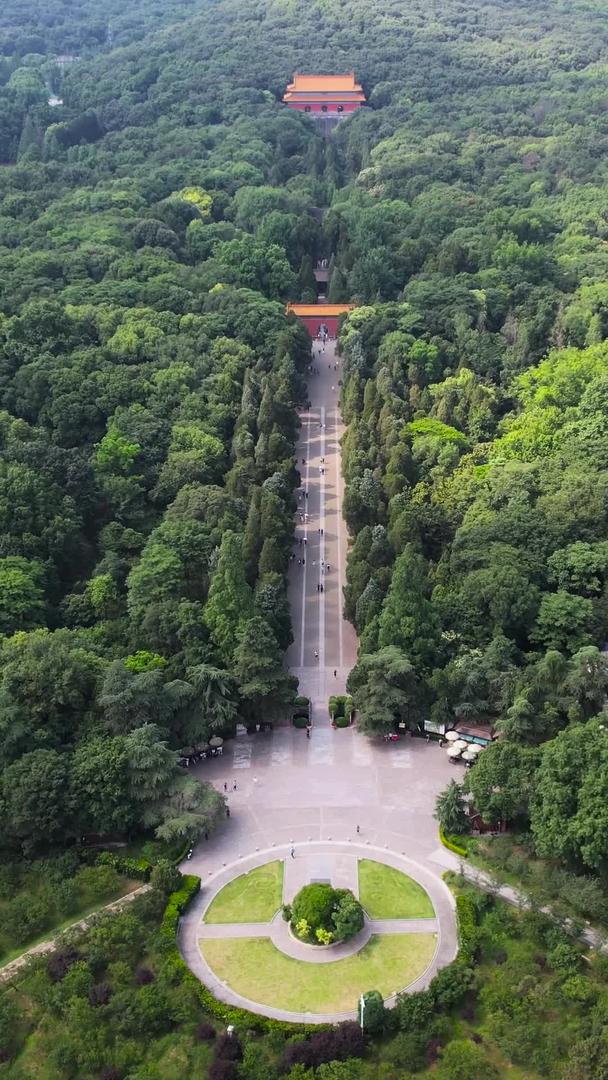 南京5A级景区钟山风景区中山陵明孝陵视频的预览图