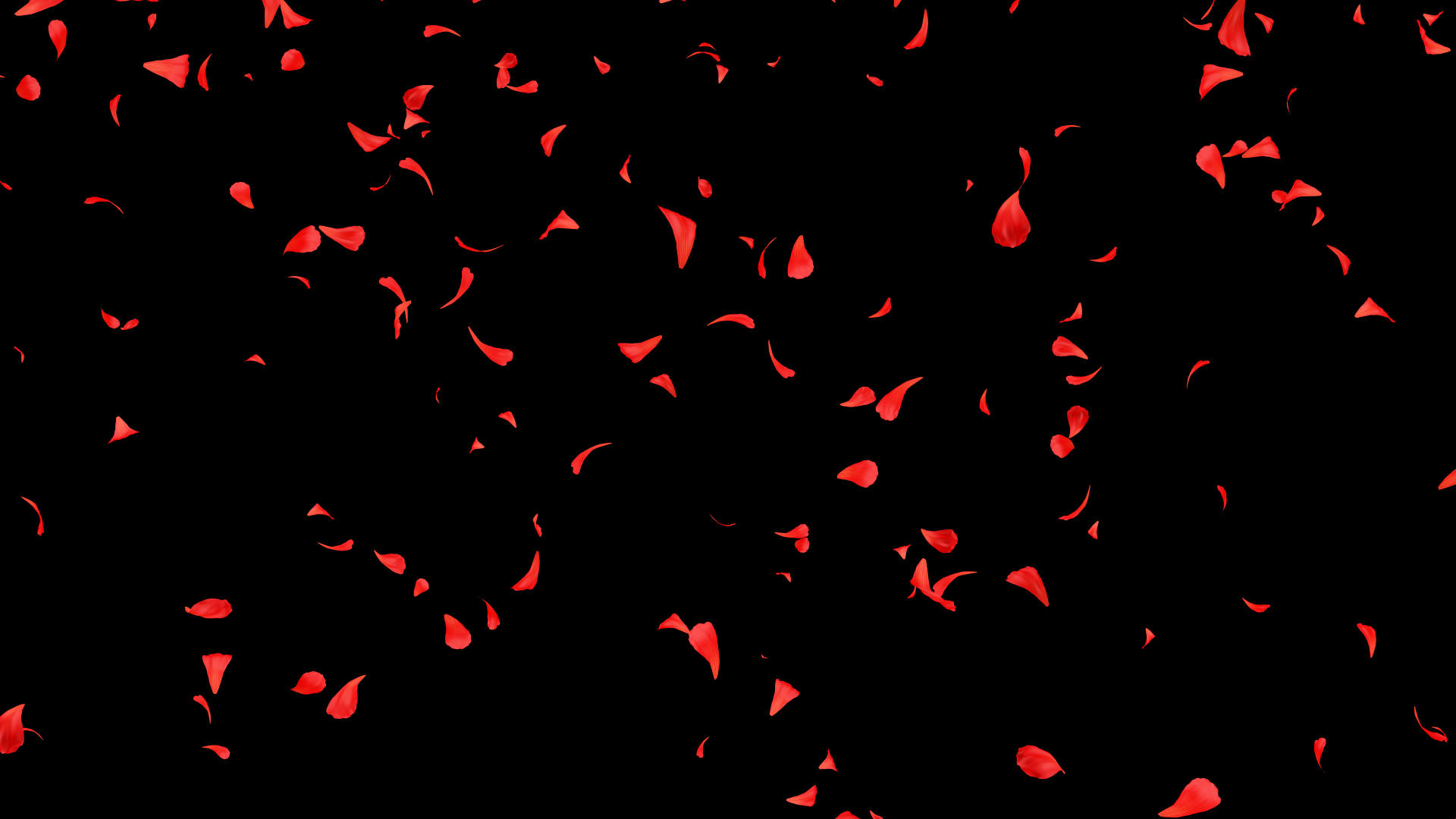 飘落花瓣背景视频的预览图