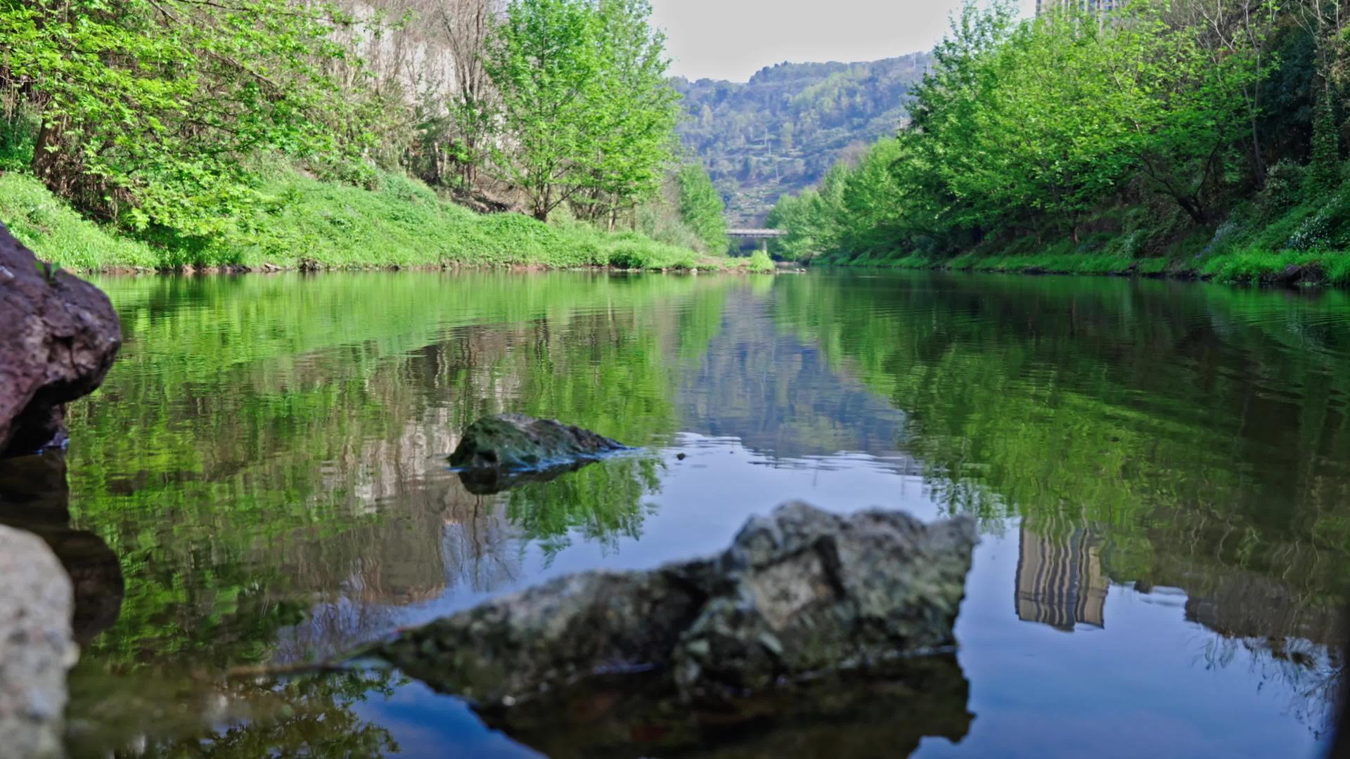 春天湖面湖水大自然空镜头4k视频的预览图
