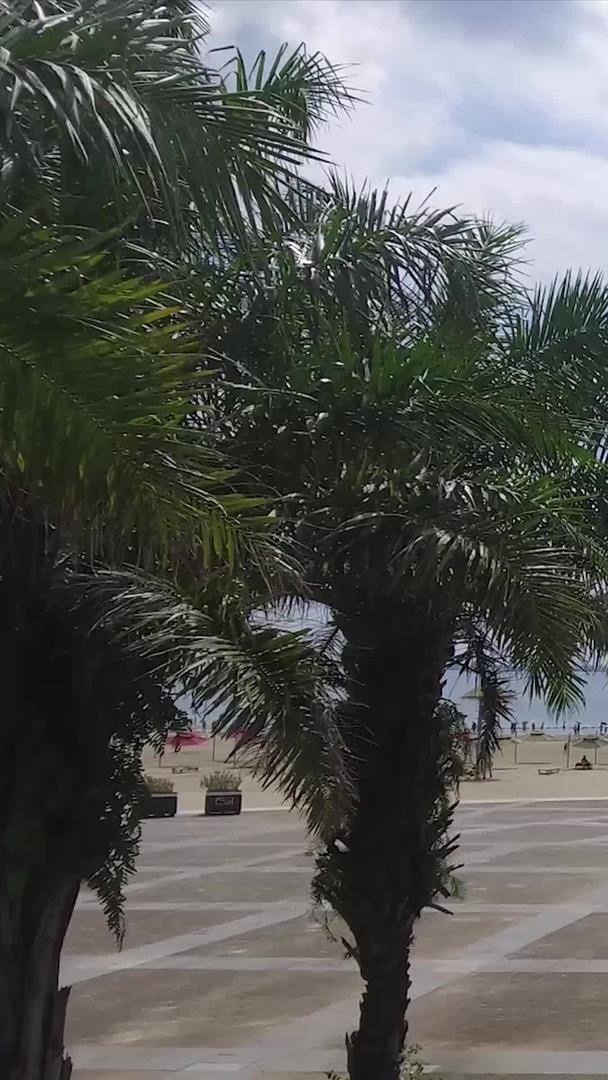 湛江沙滩航拍视频的预览图