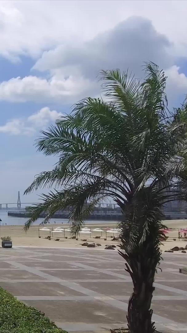 湛江沙滩航拍视频的预览图